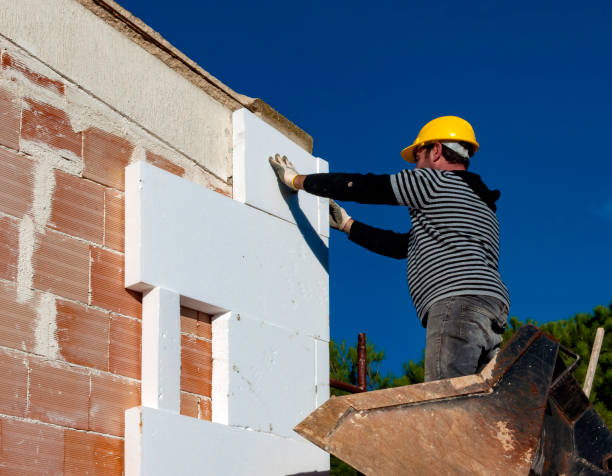 Best Insulation Removal  in Florence, CO